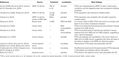 The Long Pentraxin PTX3 as a New Biomarker and Pharmacological Target in Age-Related Macular Degeneration and Diabetic Retinopathy